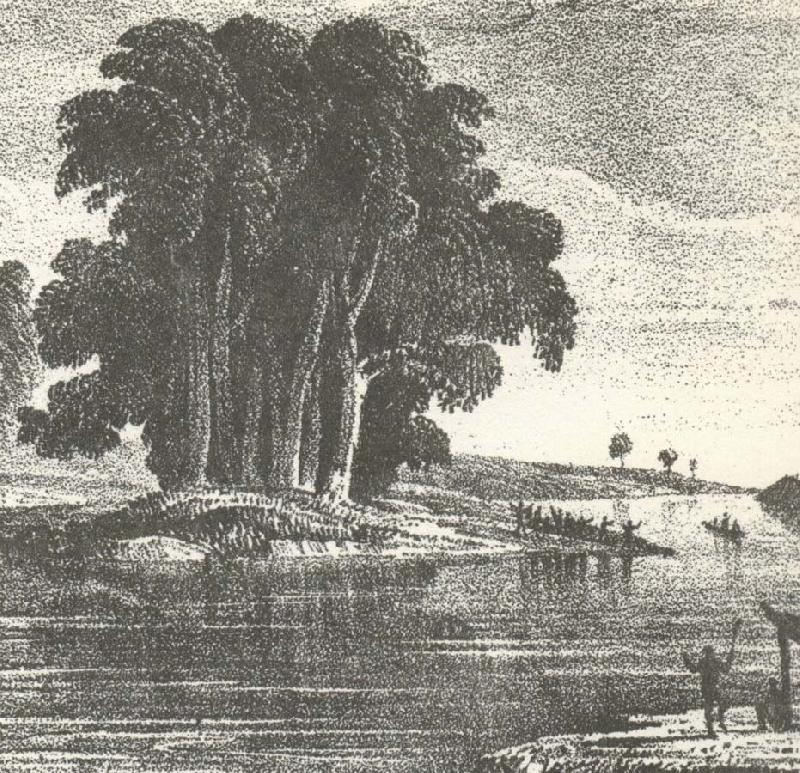 william r clark charles sturt den australiska utorskningens fader upptackte darlingfloden 1828 och foljde den nedstroms till dess sammanflode med murtay floden. Sweden oil painting art